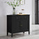 Black Two Door Two Drawer Sideboard - Hales Black Range