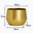Small Round Gold Patterned Planter