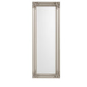 Tall Champagne Silver Wall Mirror 47cm x 142cm
