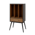 Mid-Century Modern Vinyl Record Storage Cabinet