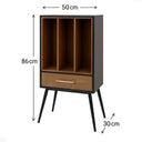 Mid-Century Modern Vinyl Record Storage Cabinet