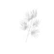 Set Of 2 Silver Palm Stems - 80cm