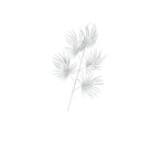 Set Of 2 Silver Palm Stems - 80cm