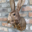 Antique Gold Metal Rabbit Head With Monocle