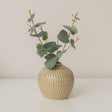 Extra Small Round Olive Green Ribbed Stem Vase - 8.5cm x 9.5cm