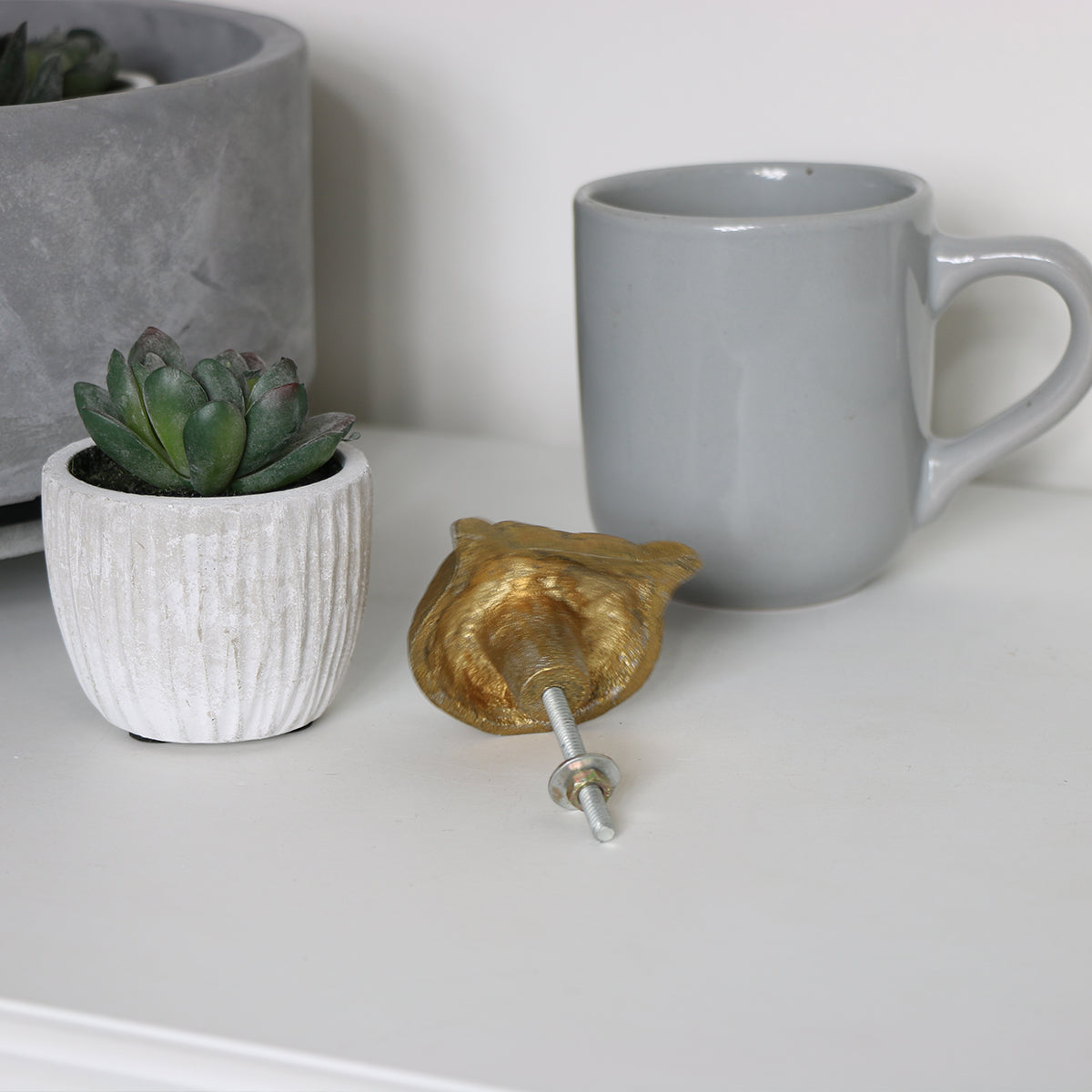 succulent drawer knobs Gold Tiger Head Drawer Knob – Melody Maison