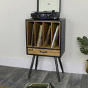 Industrial Retro Style Vinyl Record Storage Cabinet