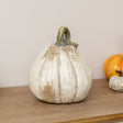 Large Cream Distressed Autumn Pumpkin Ornament - 26cm x 22cm