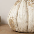 Large Cream Distressed Autumn Pumpkin Ornament - 26cm x 22cm