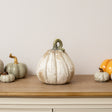 Large Cream Distressed Autumn Pumpkin Ornament - 26cm x 22cm