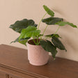 Large Pink Speckled Metal Planter Pot - 20cm x 20cm