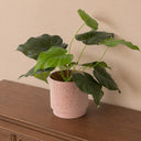 Large Pink Speckled Metal Planter Pot - 20cm x 20cm