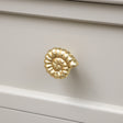 Gold Fossil Drawer Knob