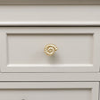 Gold Fossil Drawer Knob