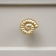 Gold Fossil Drawer Knob