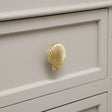 Gold Scallop Sea Shell Drawer Knob