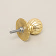 Shiny Gold Round Scalloped Drawer Knob With Scallop Detailed Base