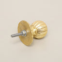 Shiny Gold Round Scalloped Drawer Knob With Scallop Detailed Base