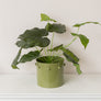 Medium Sage Green Bobbled Planter Pot - 18.5cm x 22cm