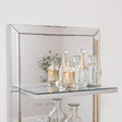 Mirrored Wall Mounted Shelving Unit