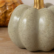Nude &amp; Gold Speckled Pumpkin Ornament - 16cm x 15cm