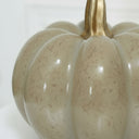 Nude &amp; Gold Speckled Pumpkin Ornament