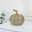 Nude & Gold Speckled Pumpkin Ornament