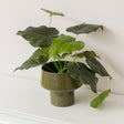 Round Olive Green Speckled Iron Planter Pot - 24cm x 20cm