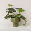 Round Olive Green Speckled Iron Planter Pot - 24cm x 20cm
