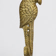 Rustic Gold Parrot Wall Hook 16cm x 6cm