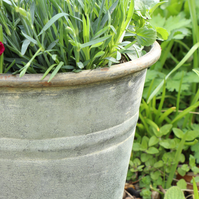 Rustic Grey Metal Bucket Planter Pot – Melody Maison Ltd