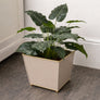 Sandy Beige Metal Planter Pot with Gold Feet - 17cm x 16.5cm