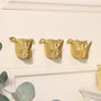Set of 3 Gold Rhino Wall Hooks