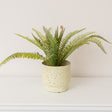 Small Ivory Speckled Iron Planter Pot - 15.5cm