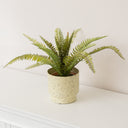 Small Ivory Speckled Iron Planter Pot - 15.5cm