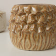 Small Round Rustic Stoneware Mushroom Planter - 10cm