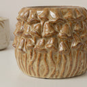 Small Round Rustic Stoneware Mushroom Planter - 10cm
