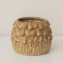 Small Round Rustic Stoneware Mushroom Planter - 10cm