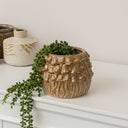 Small Round Rustic Stoneware Mushroom Planter - 10cm