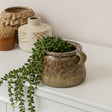 Textured Multitonal Neutral Ceramic Glazed Planter - 15cm