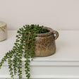 Textured Multitonal Neutral Ceramic Glazed Planter - 15cm