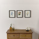 Vintage White Daffodil Flower Framed Wall Print 20cm x 25cm