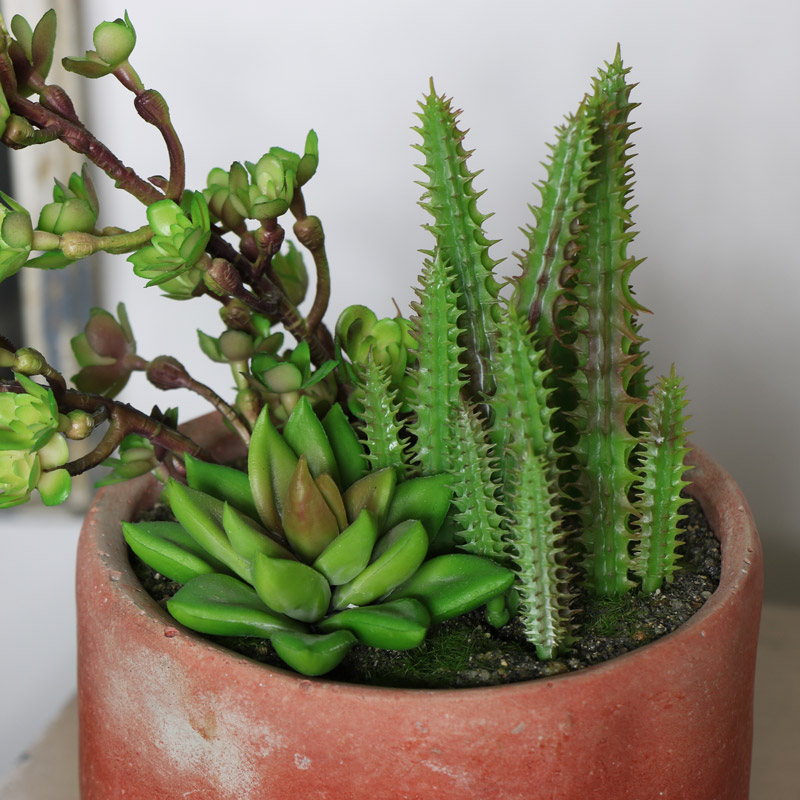 Artificial Potted Cacti and Succulent Plants