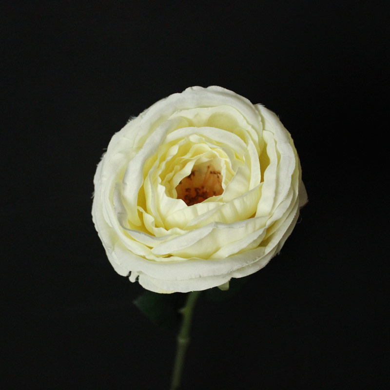 Artificial Single Cream Rose Stem