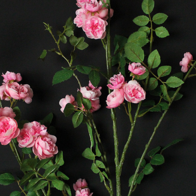 Pink Rose Branch