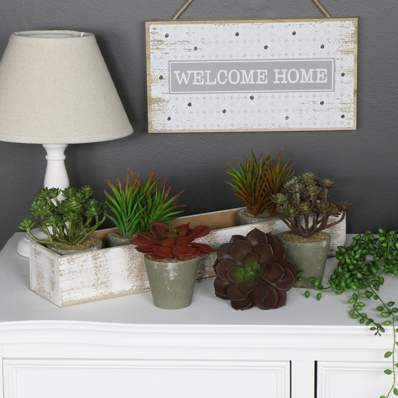 Wooden Window Tray with 6 Succulent Plants 