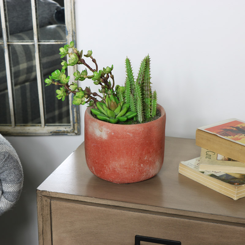 Artificial Potted Cacti and Succulent Plants