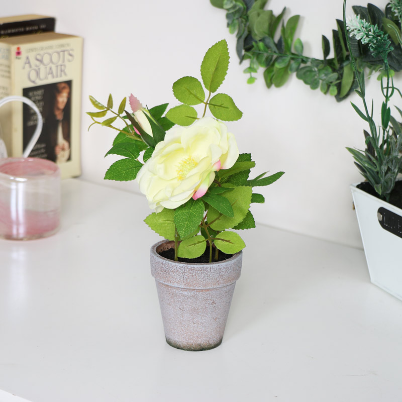 Faux Cream Rose in Pot 