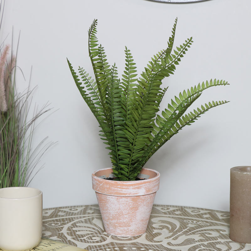 Faux Fern Potted Plant in Terracotta Pot