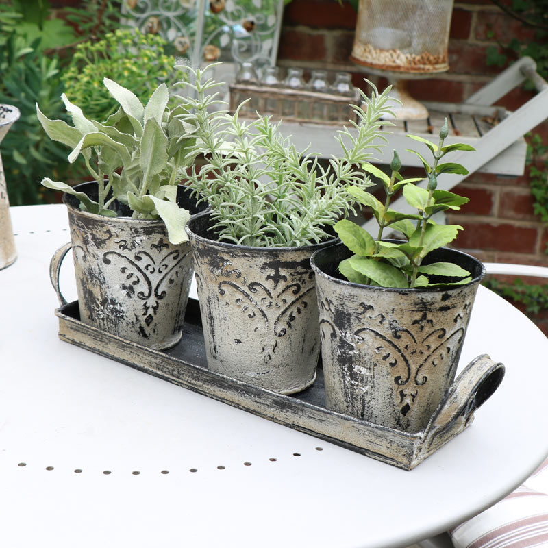 Grey Plant Pots in Tray